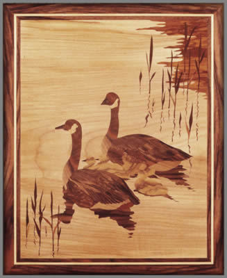 Canada Geese